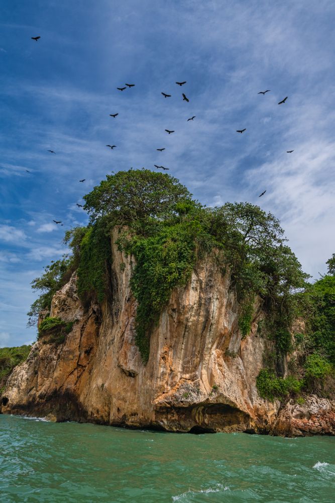 Birds flying from a cliff at Los Haitises National Park