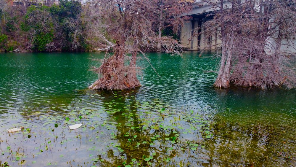 Scenic view of the Louise Hays Park