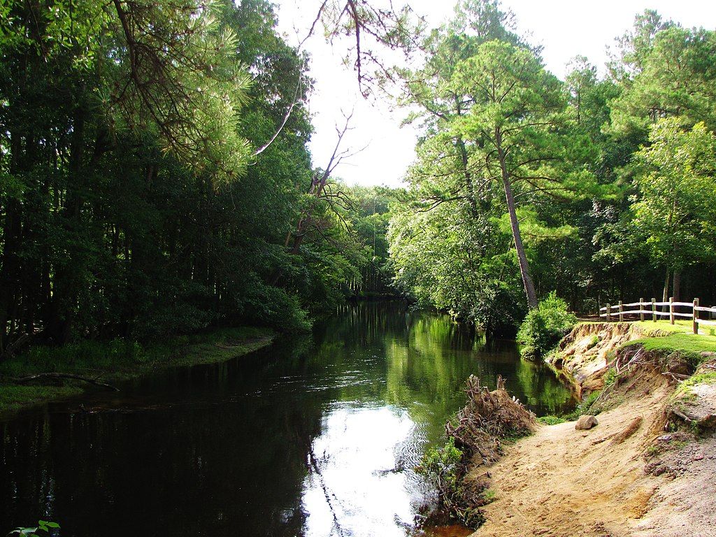 Scenic view of Lumber River State Park