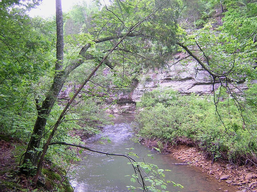 Scenic view of Lusk Creek