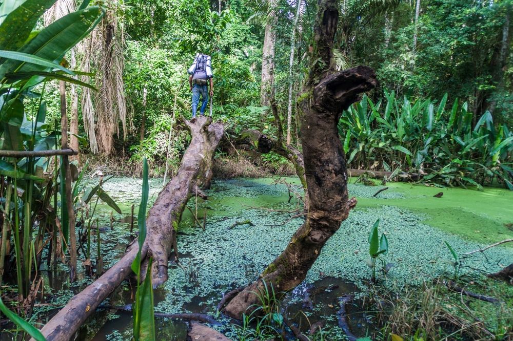 Madidi National Park