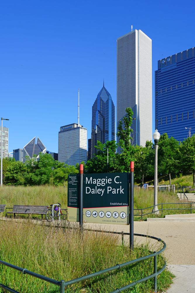 View of the Maggie Daley Park
