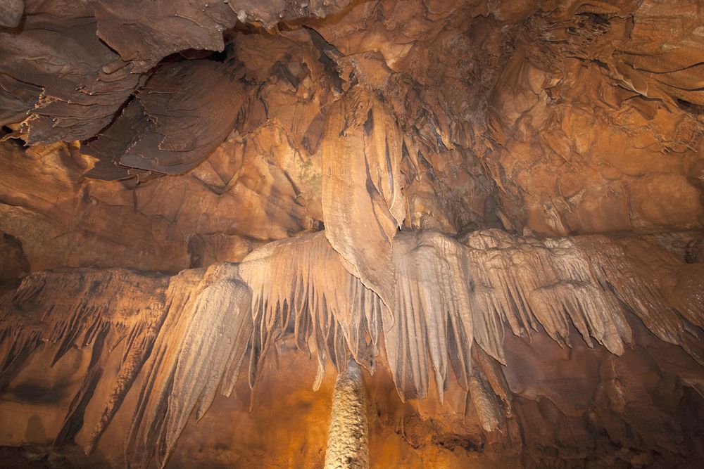 Details of the Mammoth Cave National Park