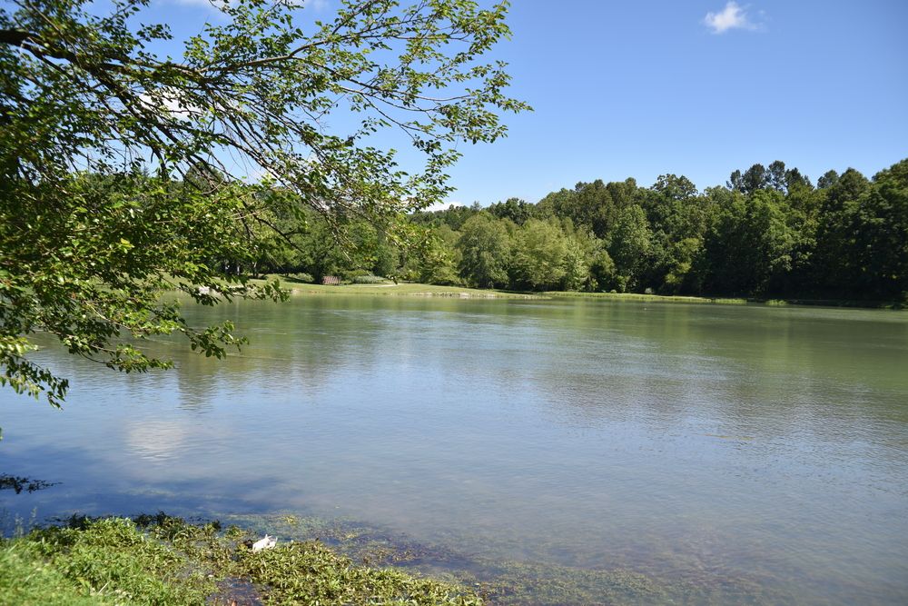 Still water at Mammoth Spring State Park