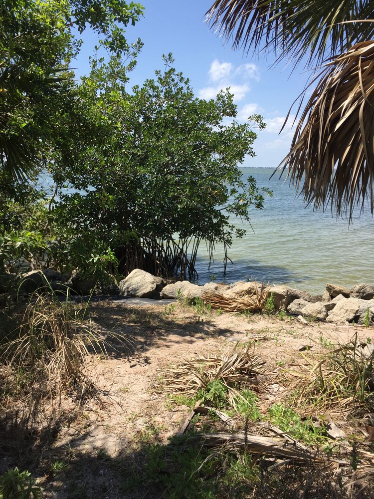 Plants and waterbody at Manatee Sanctuary Park