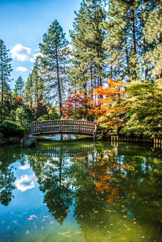 Stunning view of the Manito Park