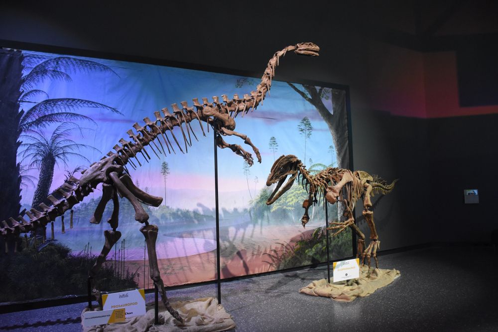 Manitoba Museum