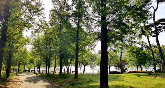 Manseok Park
