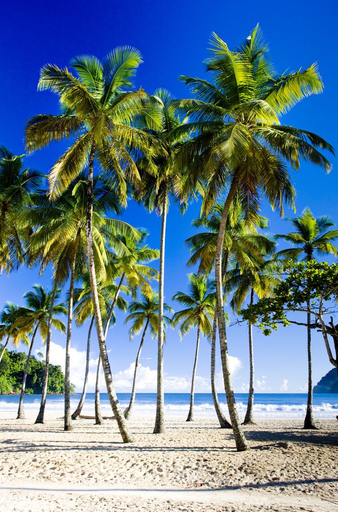 Maracas Bay of Trinidad
