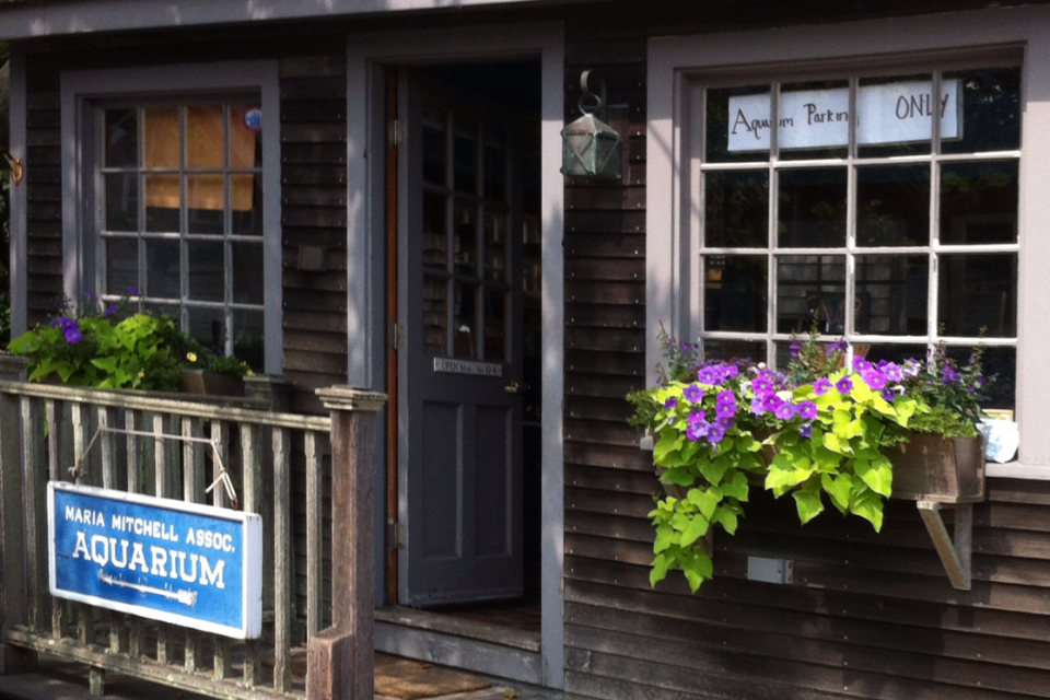 Entrance door of Maria Mitchell Aquarium