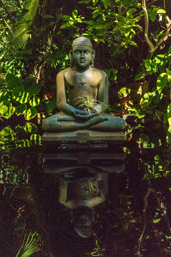 Buddha statue at Marie Selby Botanical Gardens