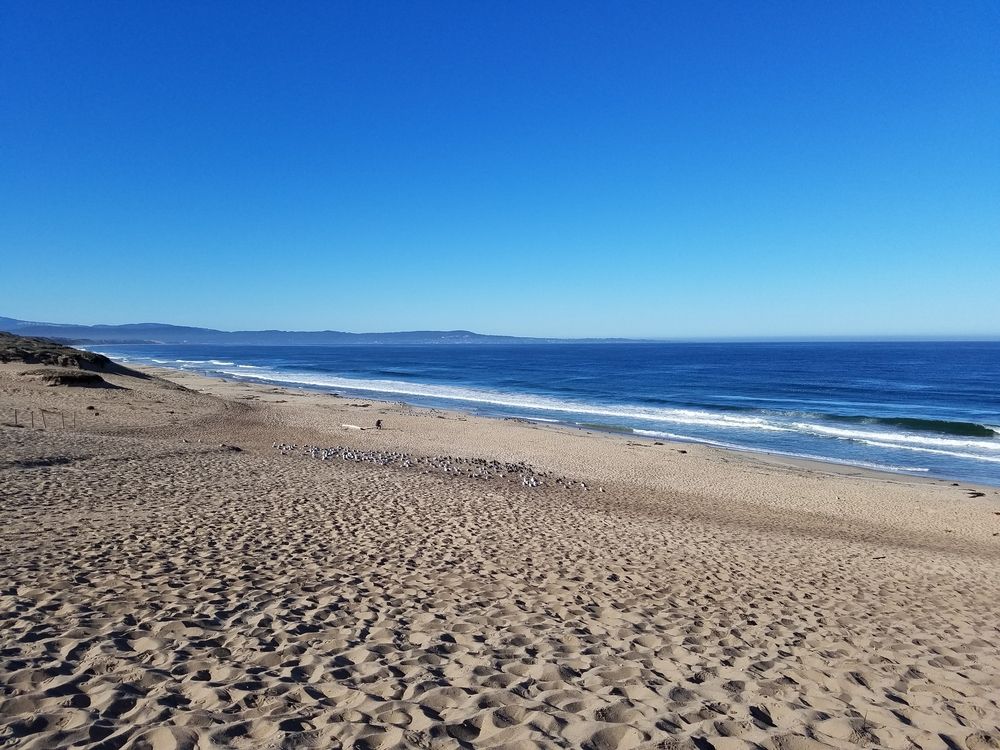 Shoreline of Marina State Beach