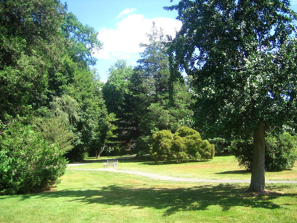 Marquand Park filled with lush greeneries