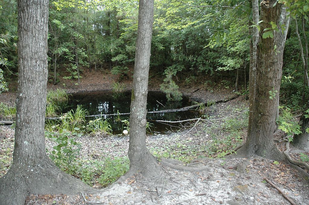 Mars Bluff Atomic Bomb Impact Crater in South Carolina
