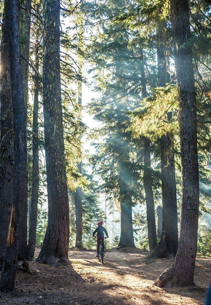 A young boy riding a bicycle on a sunny morning at Mazama Campground