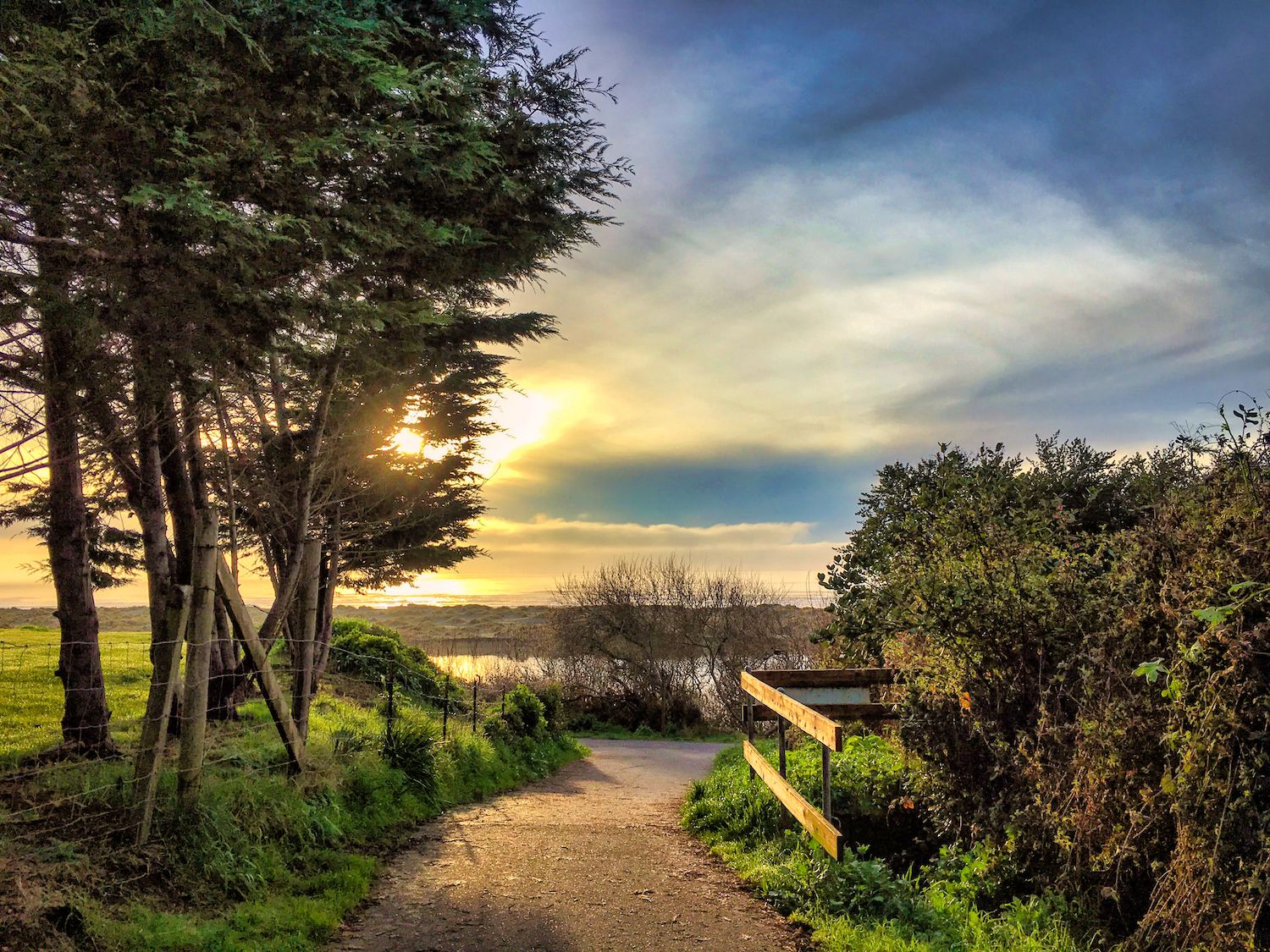 15 Best Things to Do in McKinleyville, CA Travel Lens