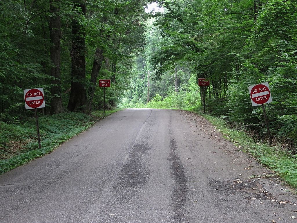View of Meeman-Shelby Forest State Park