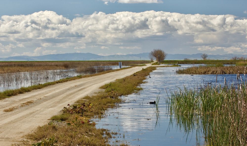 Scenic view of Merced National Wildlife Refuge