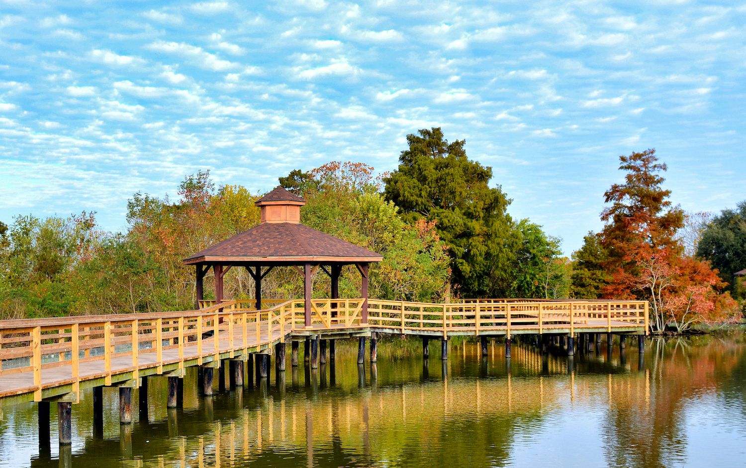 20 Best Things to Do in Metairie, LA Travel Lens