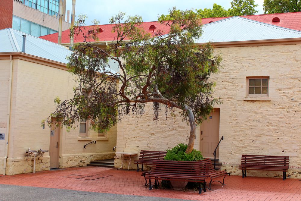 Benches placed outside the Migration Museum