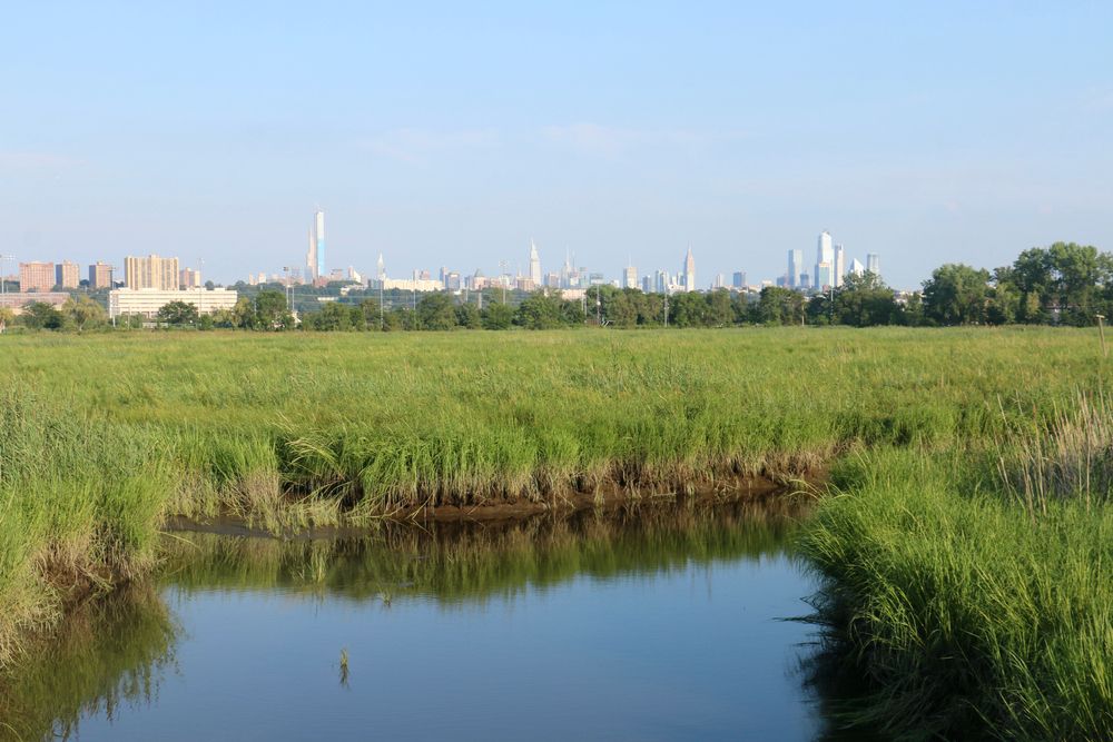 View of the Mill Creek Marsh