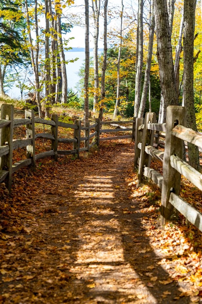 Nature trail at Miners Castle