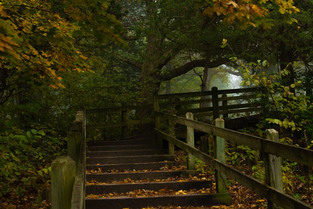 Mississippi Palisades State Park