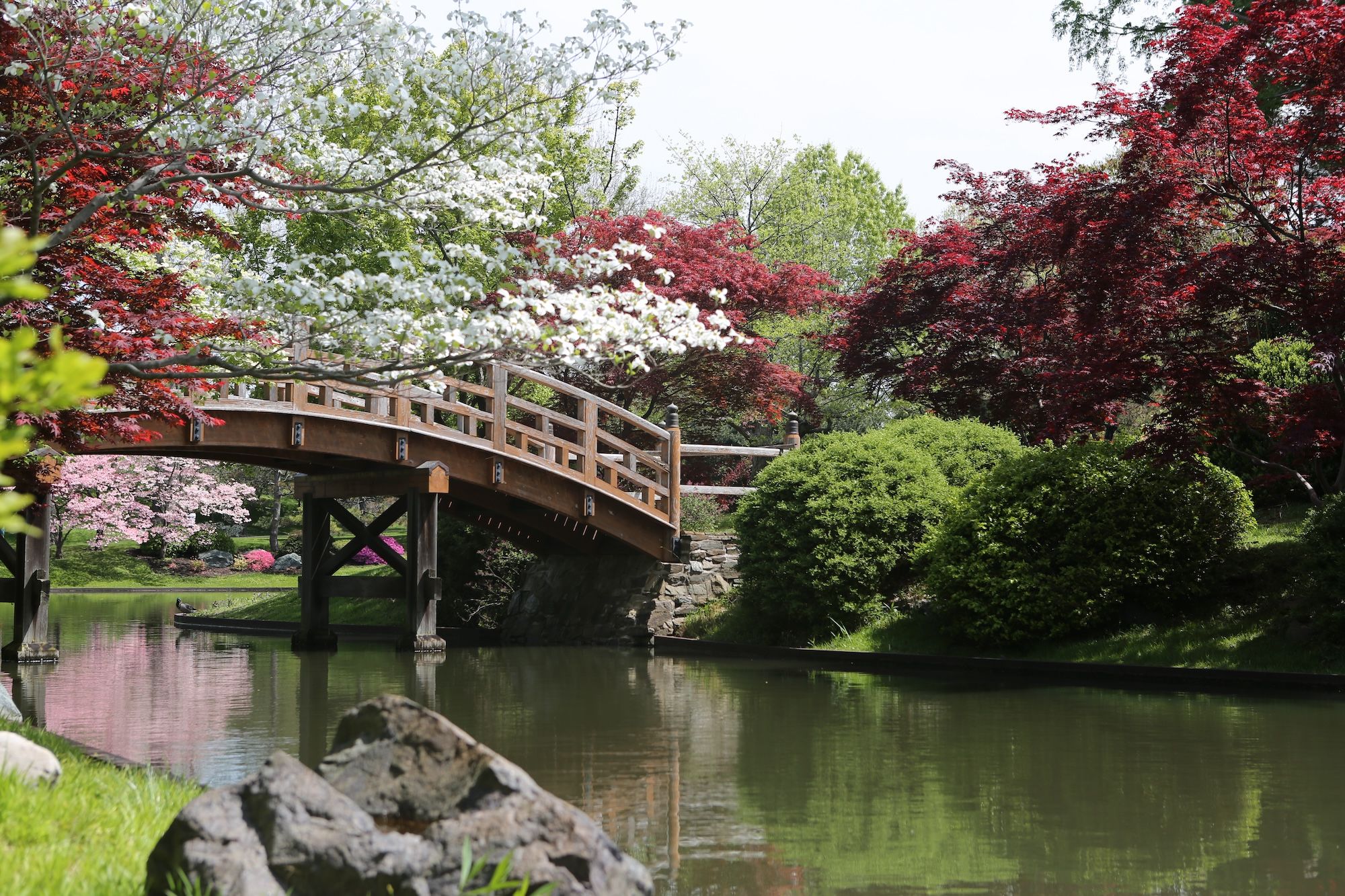 Missouri Botanical Garden