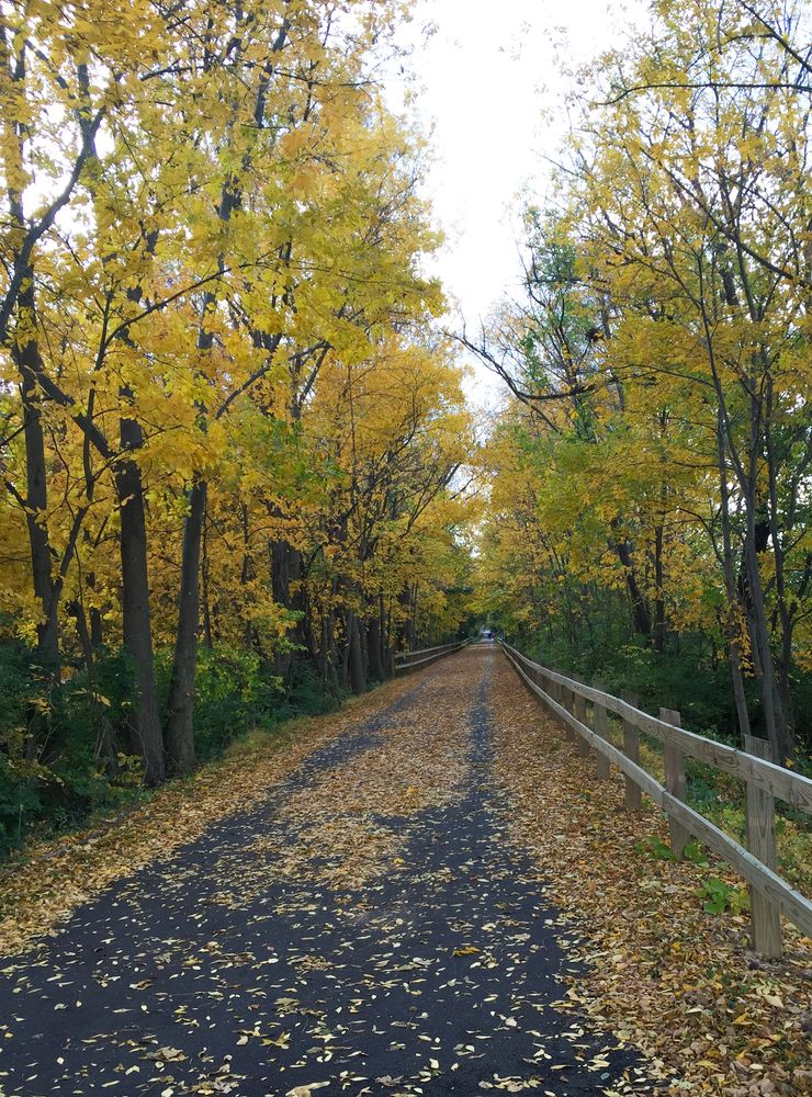 Chester Valley Trail lined with trees and covered with leaves