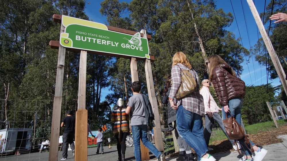 Visitors entering the Monarch Butterfly Grove in Pismo Beach