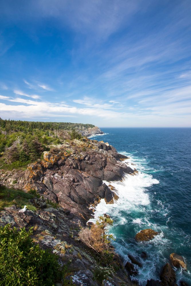 Scenic view of Monhegan Island