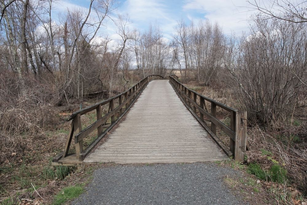 Wooden bridge at the Monmouth Battlefield State Park in Manalapan