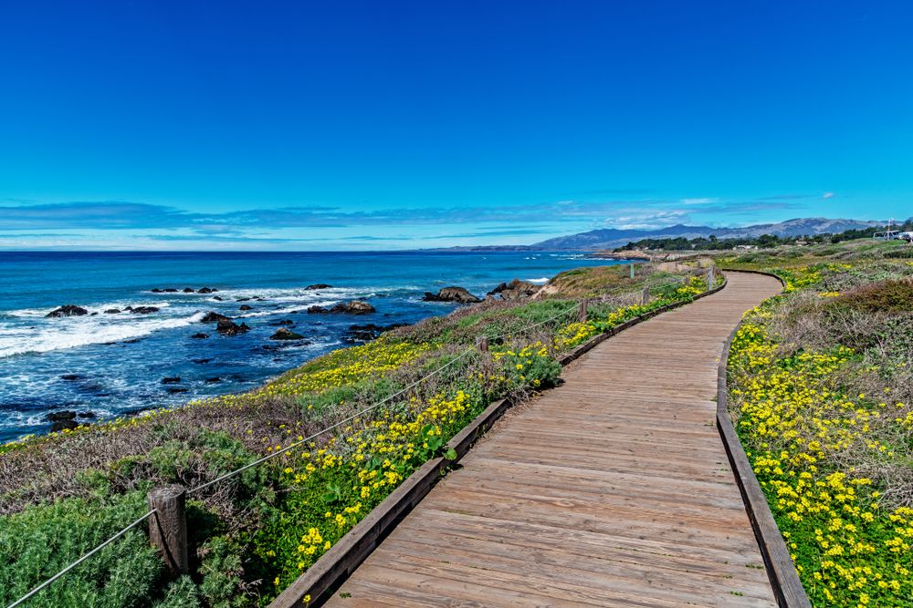 Wooden trail of Moonstone Beach