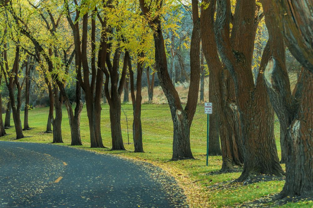 Moore Park in Klamath Falls, OR