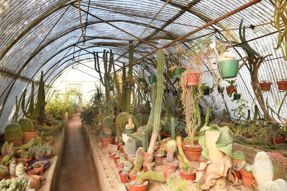 Moorten Botanical Garden and Cactarium at Palm Spring