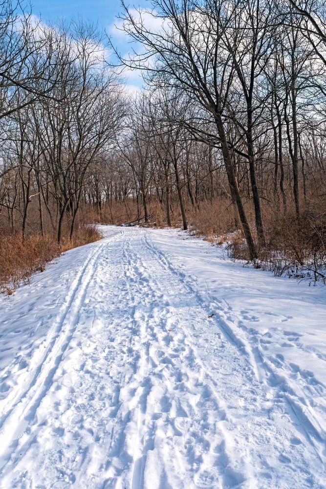 Trail covered with snow at Moraine Hills State Park