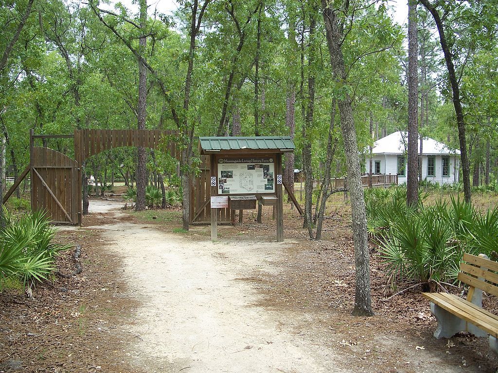 Morningside Nature Center in Gainesville, Florida