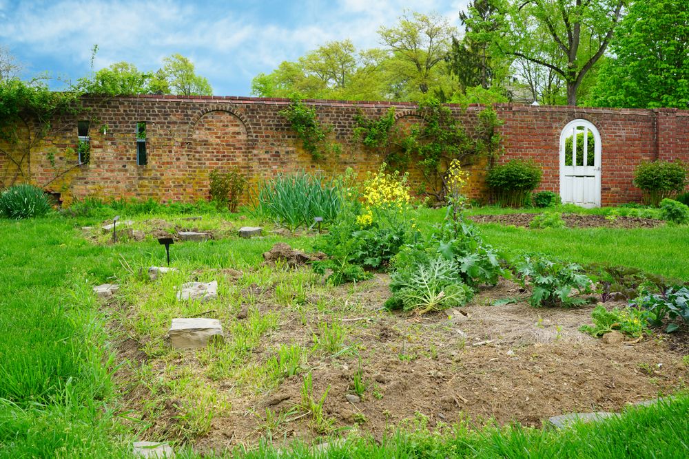 Garden at Morven Museum