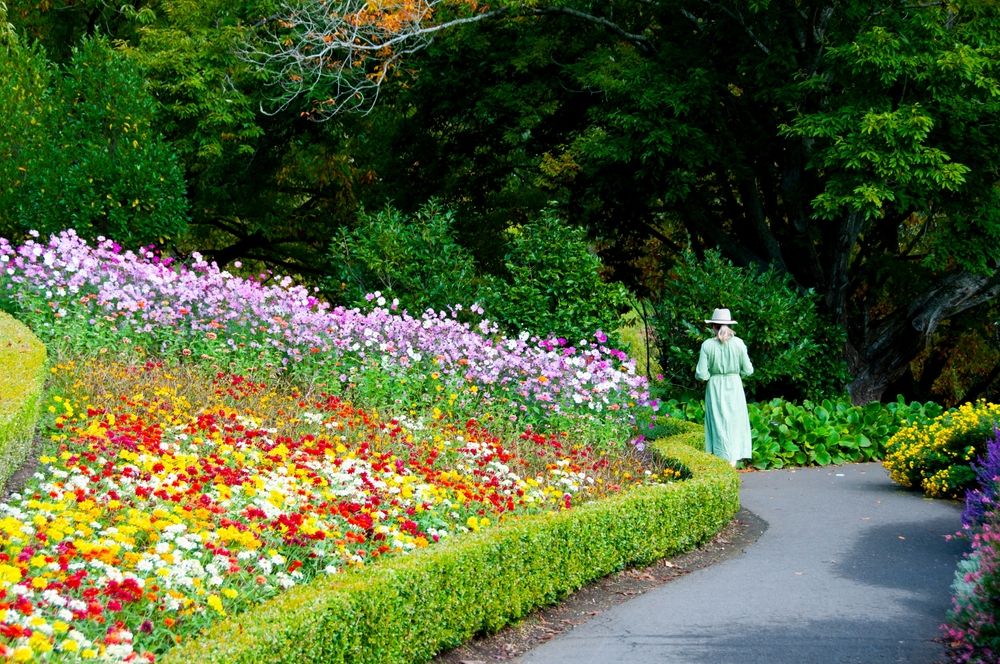 Vibrant and colorful flowers at Mount Lofty Botanic Garden
