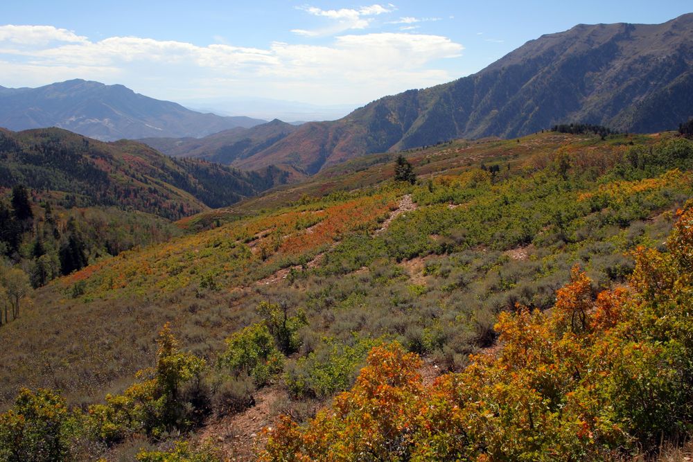 Scenic view of Mount Nebo Scenic Loop