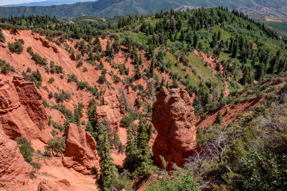 View from Mount Nebo Scenic Loop
