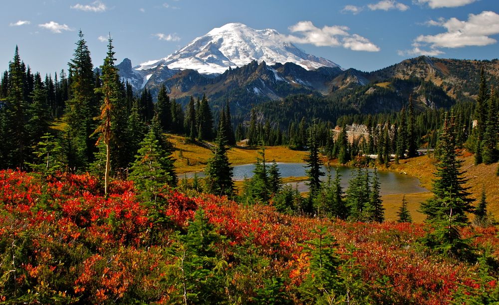 Vibrant colors at Mount Rainier National Park, Washington