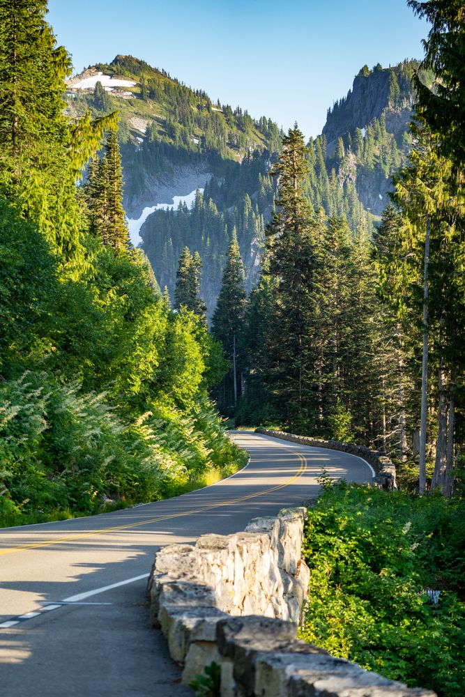 Path along the Mount Rainier National Park