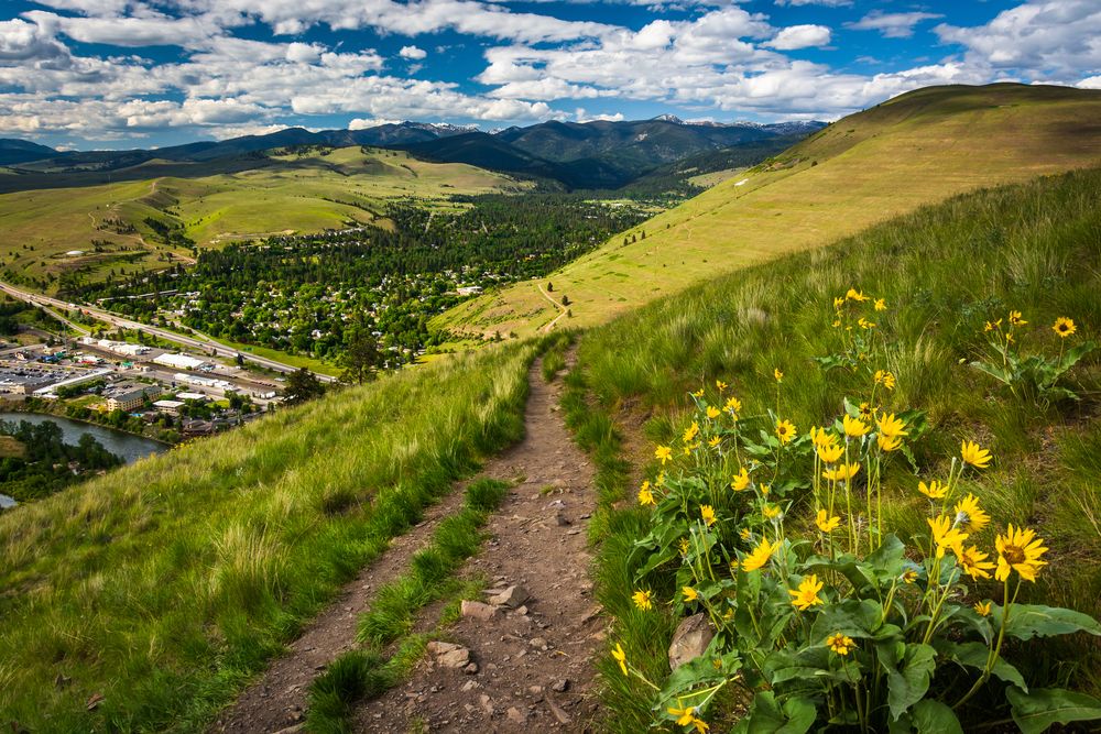 A trail at Mount Sentinel