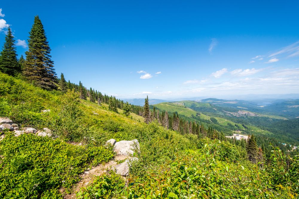 Breathtaking view from the Mount Spokane State Park