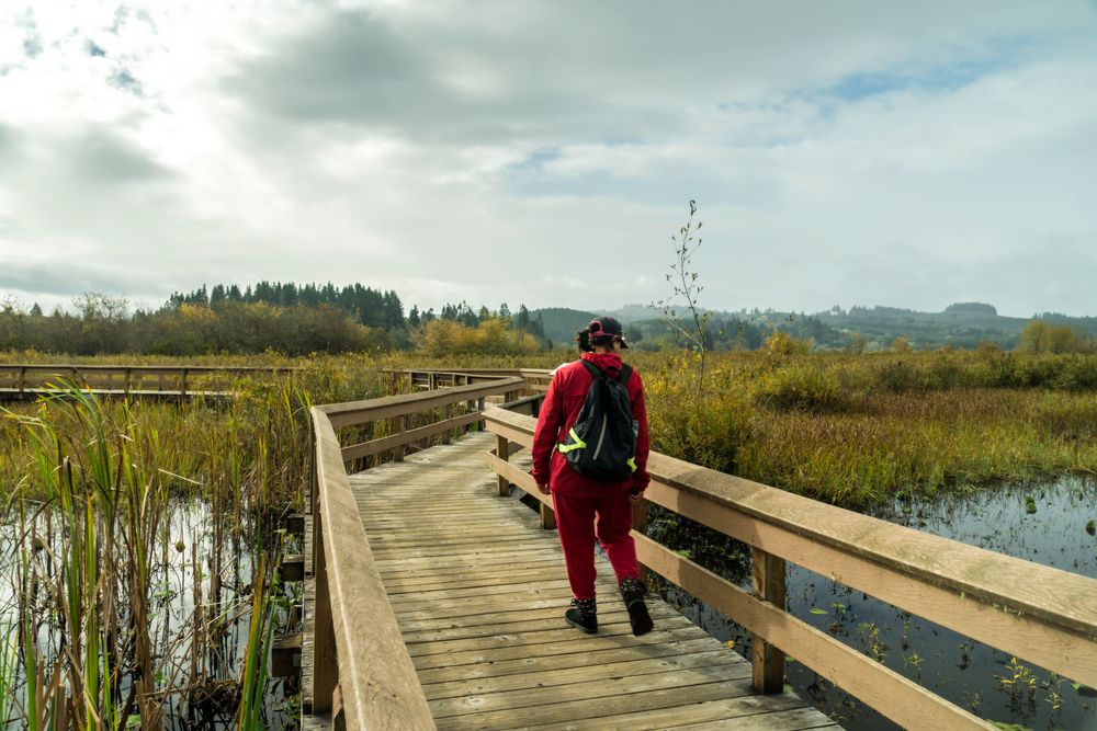 Boardwalk at Mount St. Helens Visitor Center