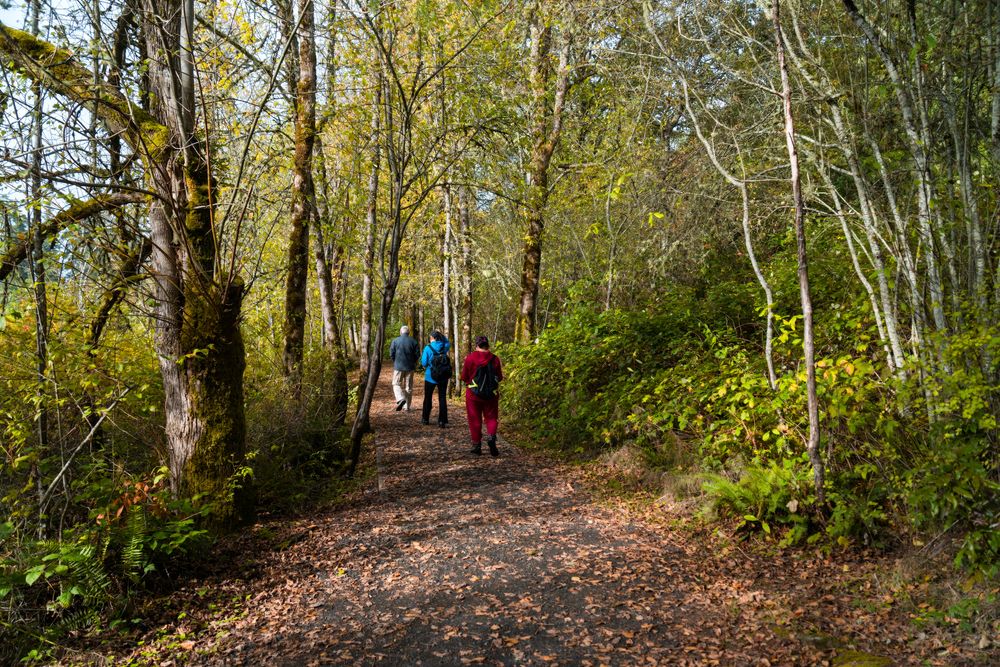 Hiking trail at Mount St. Helens Visitor Center