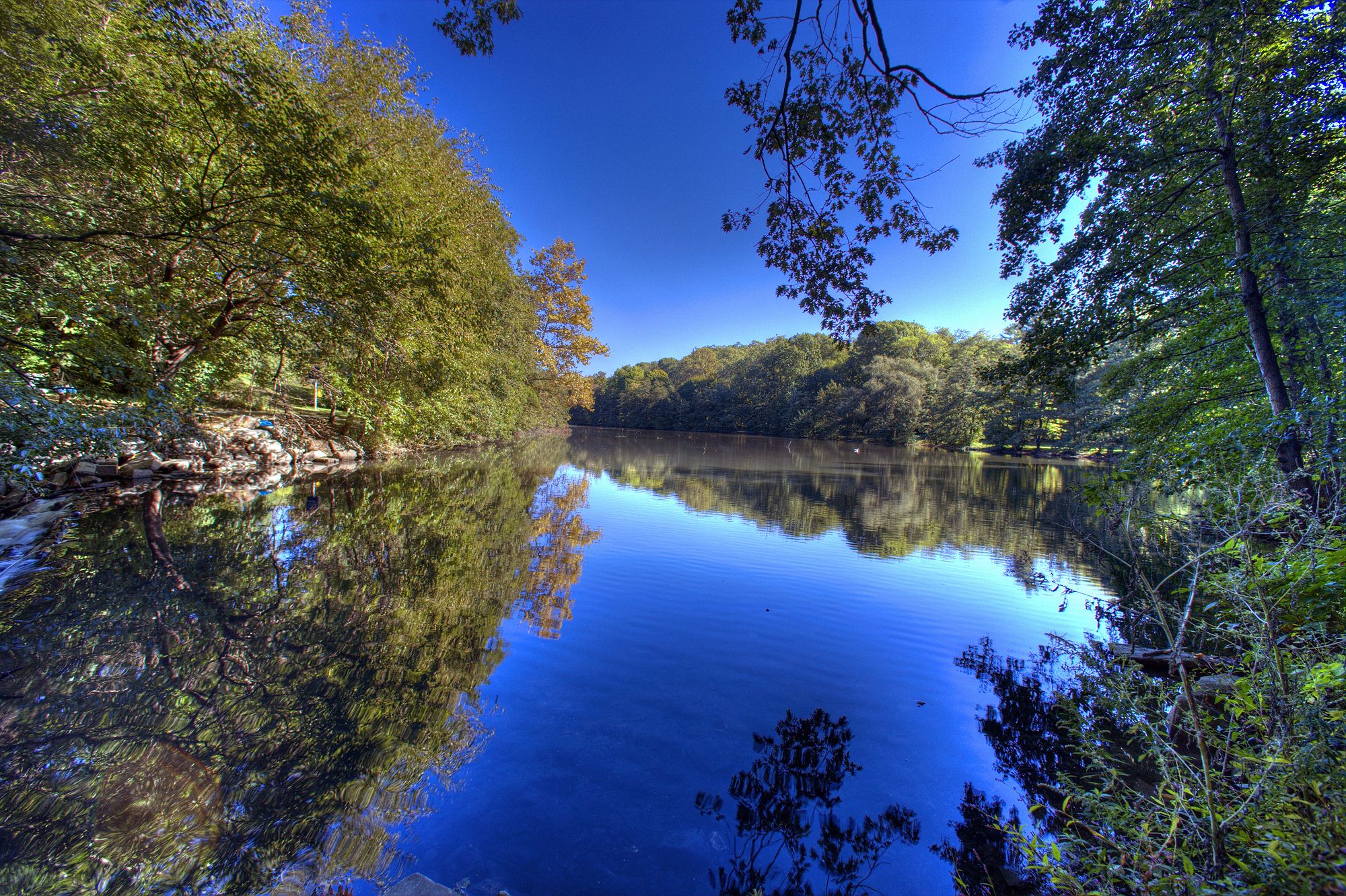 15 Free Things to Do in Mount Vernon, NY