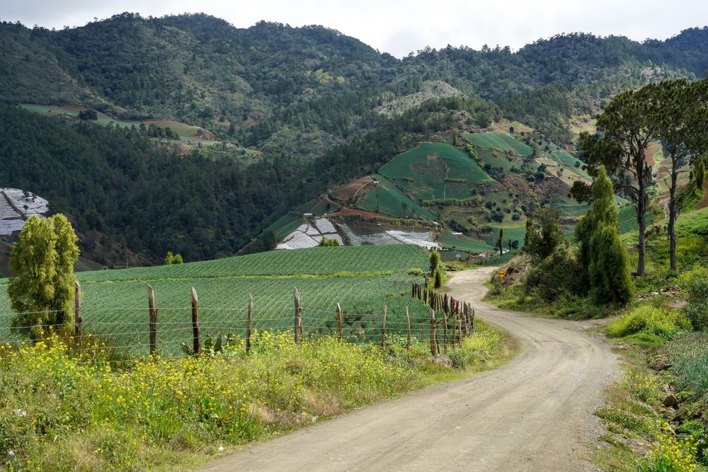 Narrow path between the fields at Mountain Town of Constanza