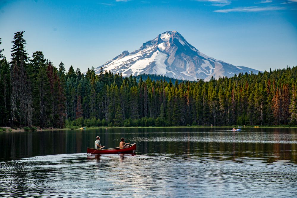 View of Mt. Hood National Forest